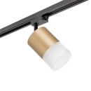 Комплект со светильником Rullo R1T349081