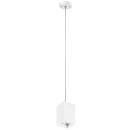 Комплект со светильником Rullo RP336