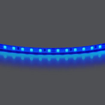 Лента цветного свечения 24V, синий Lightstar 420515