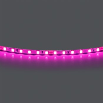 Лента цветного свечения 24V, розовый Lightstar 420512
