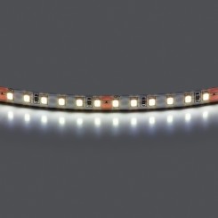 Лента холодного белого свечения 24V Lightstar 420805 Лента холодного белого свечения 24V Lightstar 420805