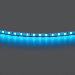 Лента цветного свечения 24V, голубой Lightstar 420516