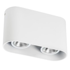 Светильник точечный накладной под заменяемые галогенные или LED лампы Rullo 214866