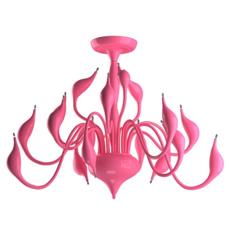 Cigno Collo